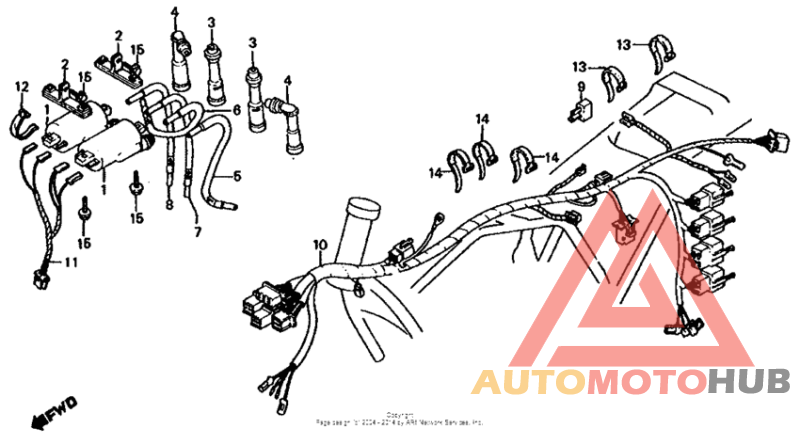 Wire harness + ignition coil