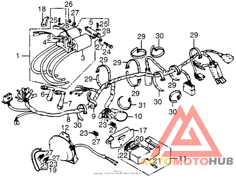 Wire harness + ignition coil + horn