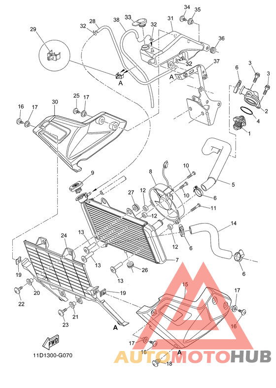 Radiator & hose
