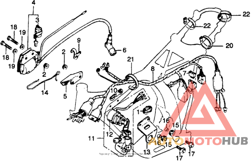 Wire harness + ignition coil