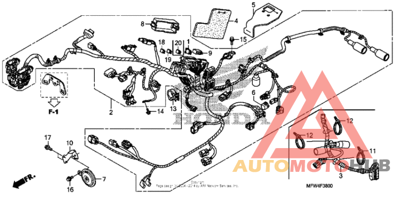 Wire harness + horn