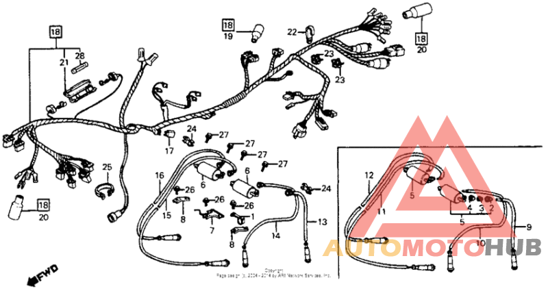 Wire harness + ignition coil