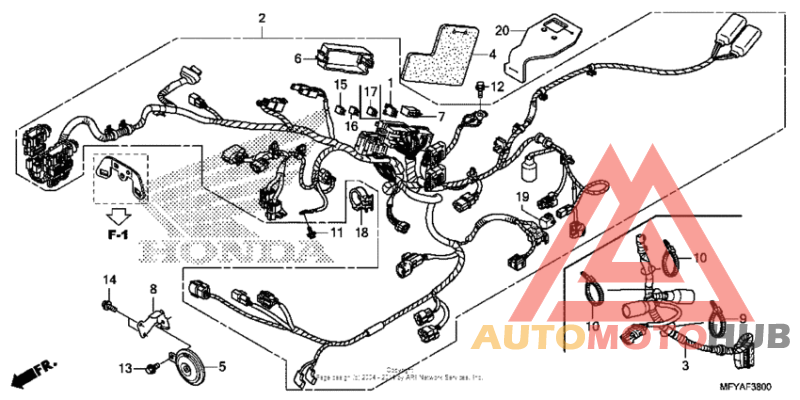 Wire harness + horn