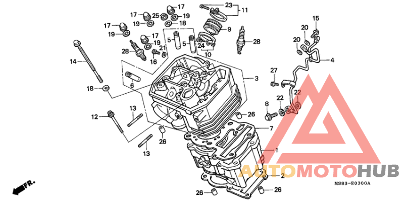 Cylinder/cylinder head
