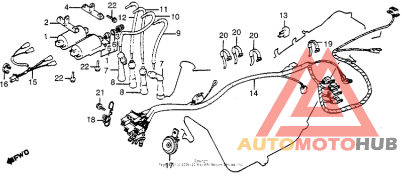 Wire harness + ignition coil