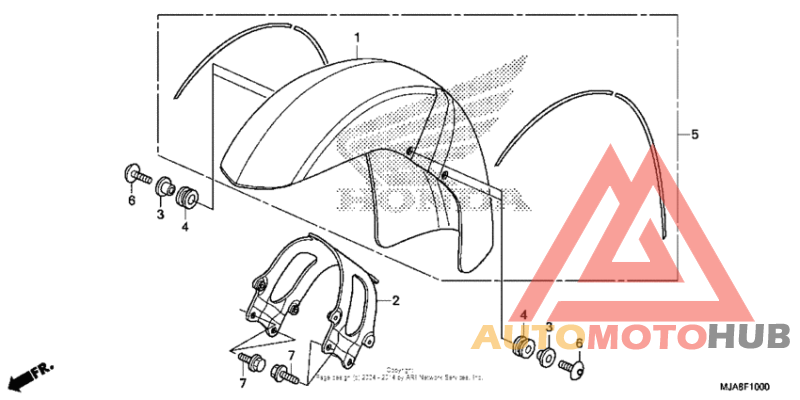 Front fender (1)