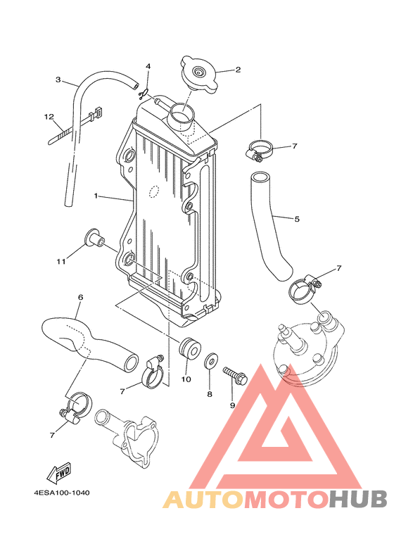 Radiator. hose