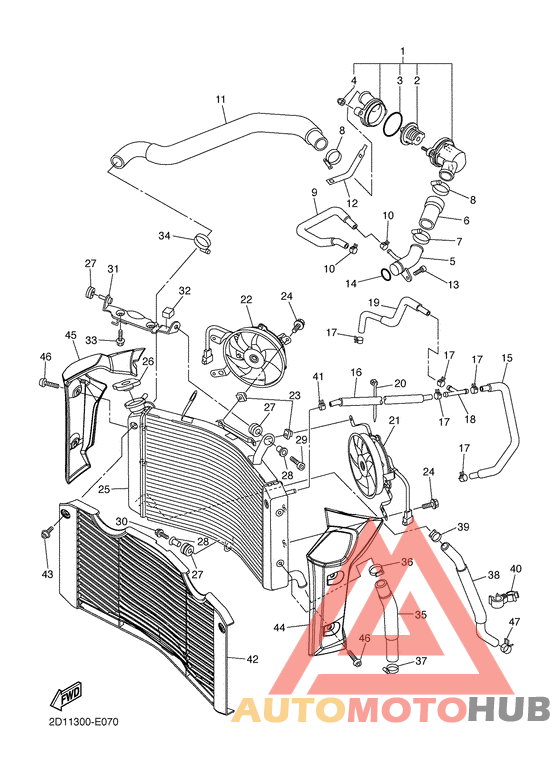 Radiator & hose