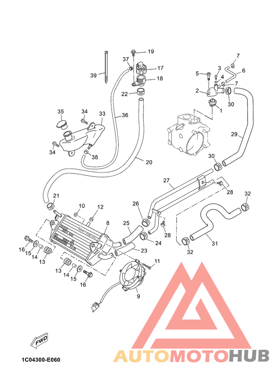 Radiator & hose