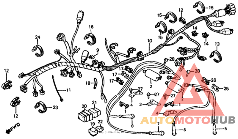 Wire harness + ignition coil