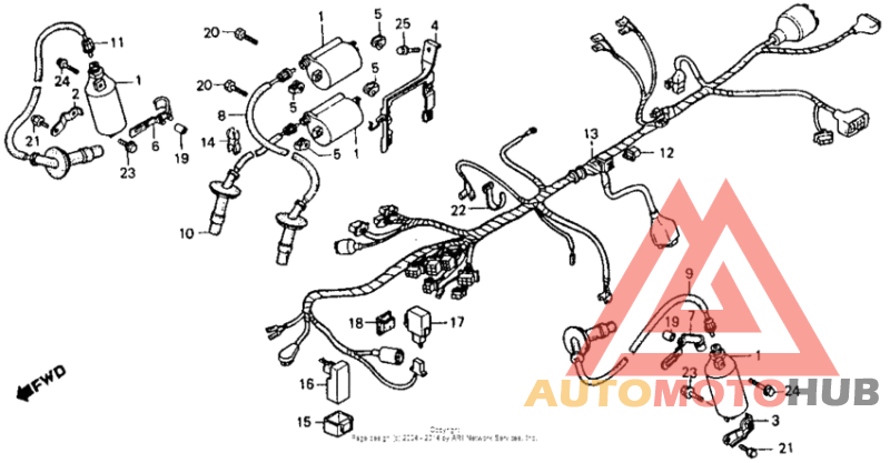 Wire harness + ignition coil