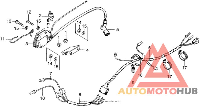 Wire harness + ignition coil