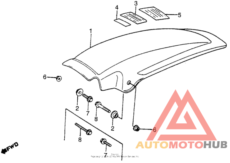 Rear fender 81