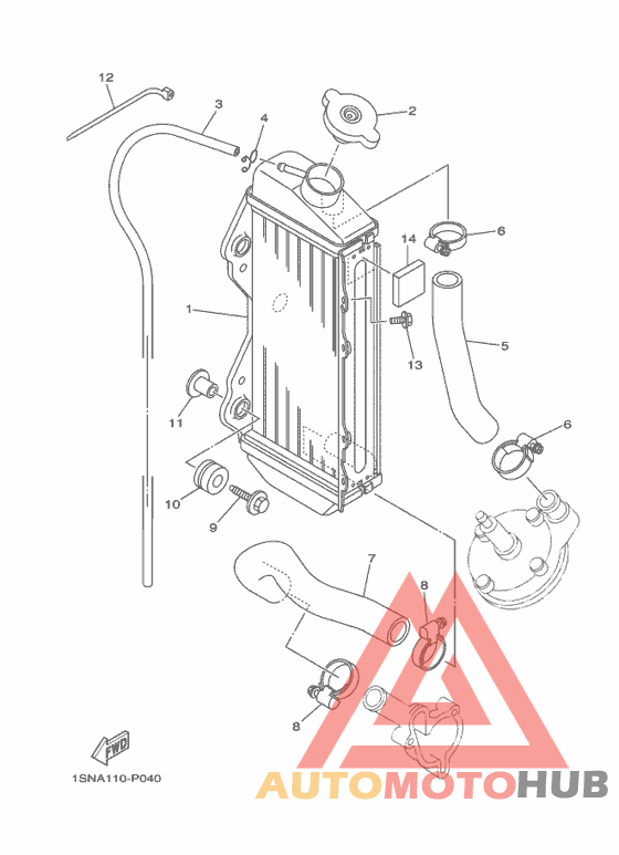 Radiator & hose