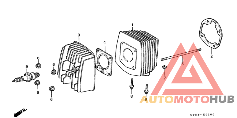 Cylinder/cylinder head
