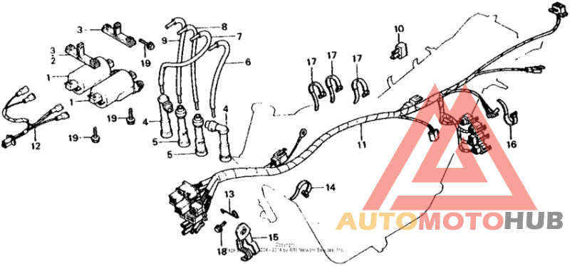 Wire harness + ignition coil