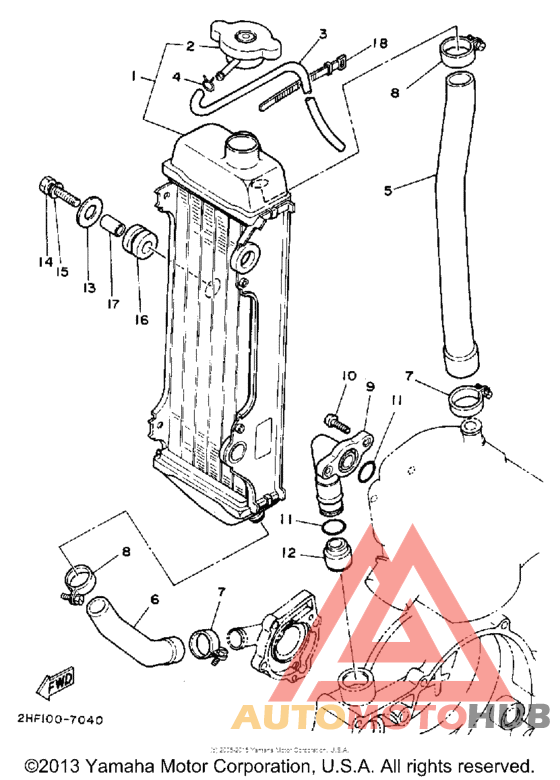 Radiator - hose