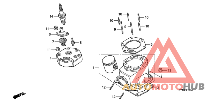 Cylinder/cylinder head