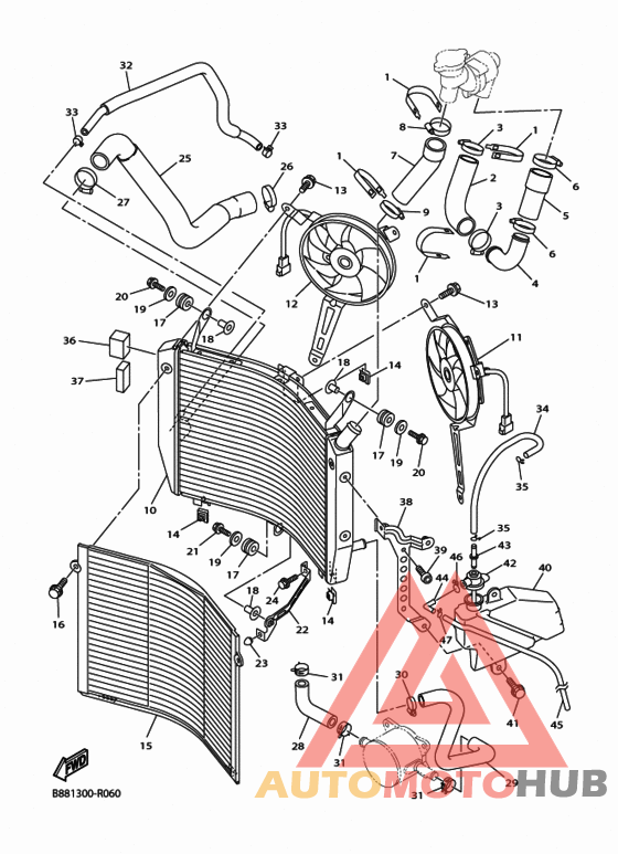 Radiator & hose
