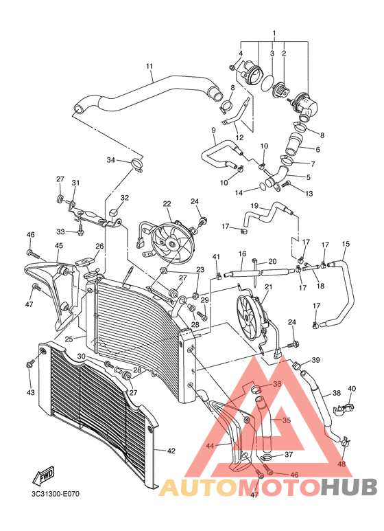 Radiator & hose