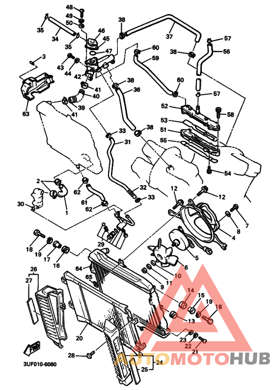 Радиатор и шланг
