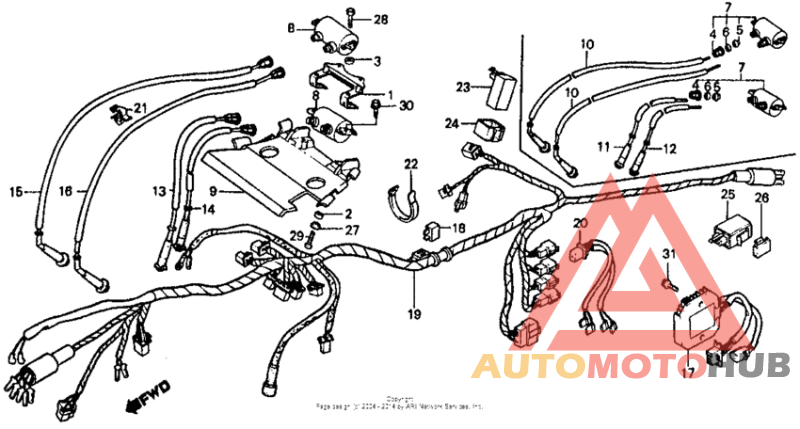 Wire harness + ignition coil