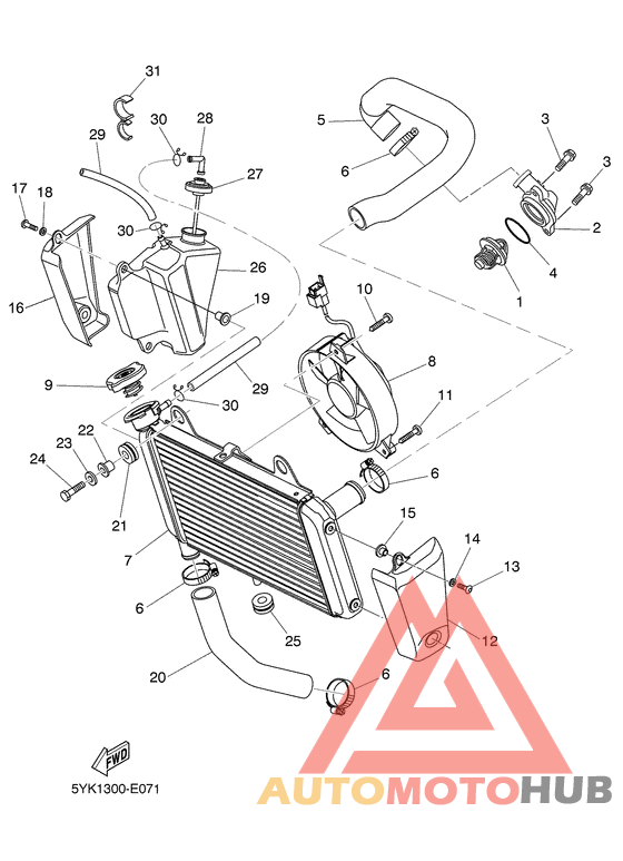 Radiator & hose
