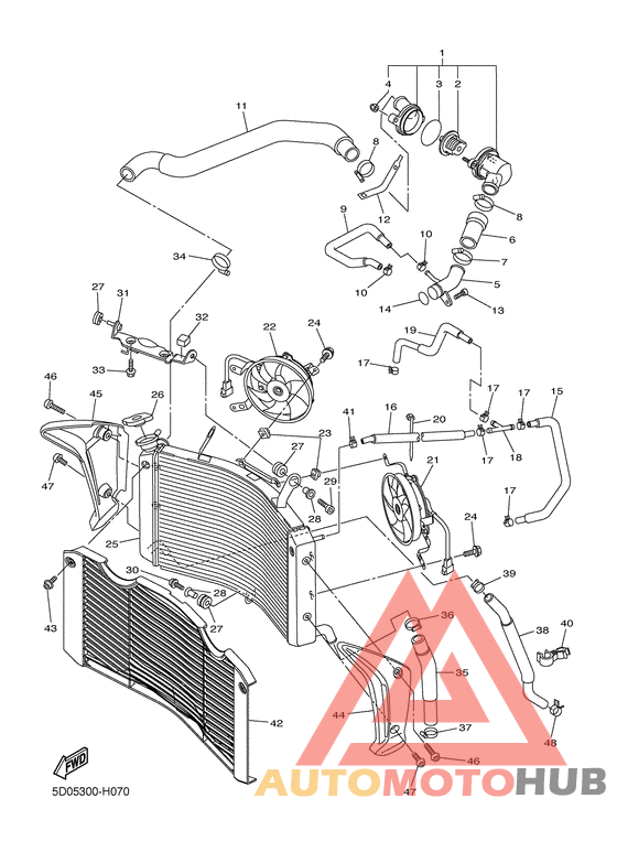 Radiator & hose