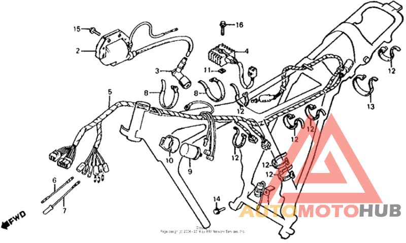 Wire harness + ignition coil 79-80