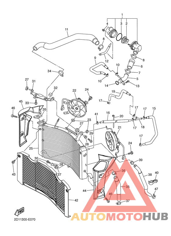 Radiator & hose