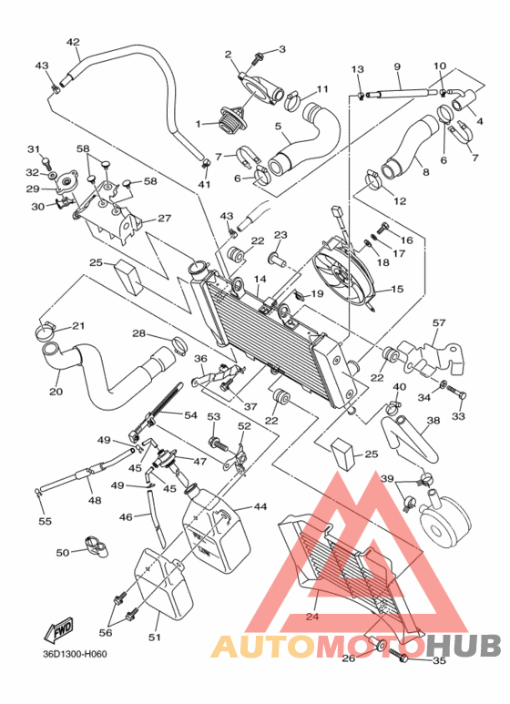Радиатор и шланг