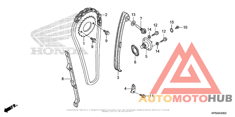 Cam Chain + Tensioner