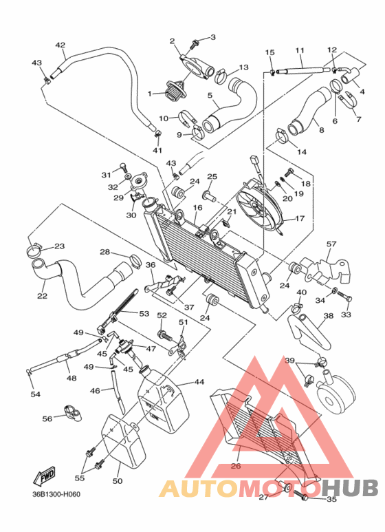 Радиатор и шланг