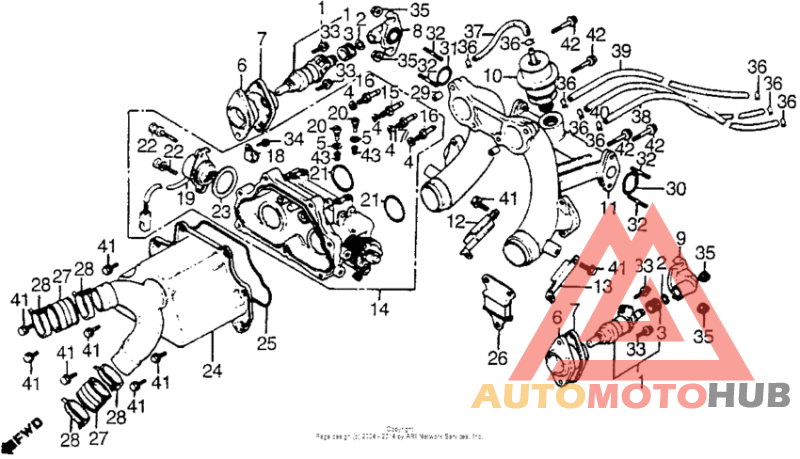 Throttle body + intake manifold