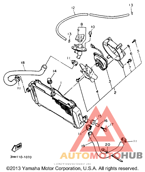 Radiator - hose