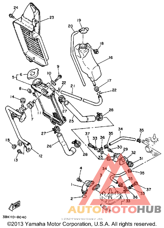 Radiator - hose