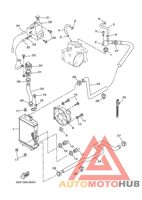 Radiator & hose