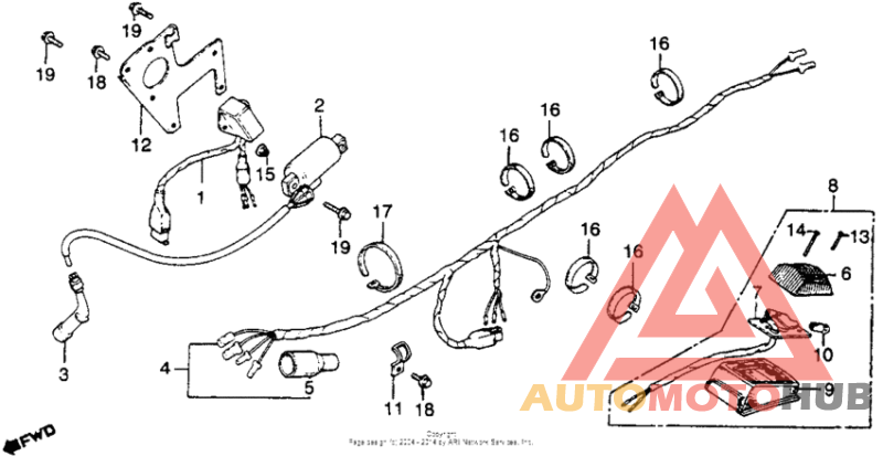 Wire harness + taillight