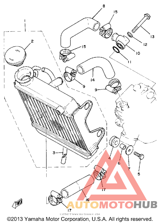 Radiator - hose