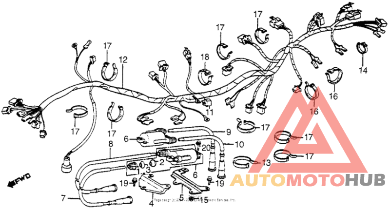 Wire harness + ignition coil