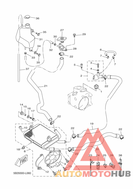 Радиатор и шланг
