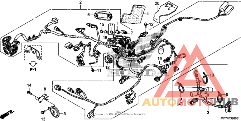 Wire harness + horn