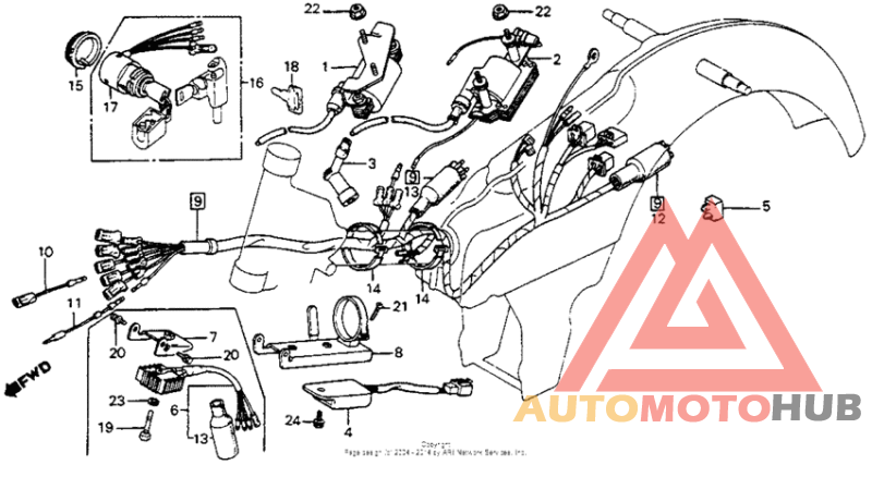 Wire harness + ignition coil