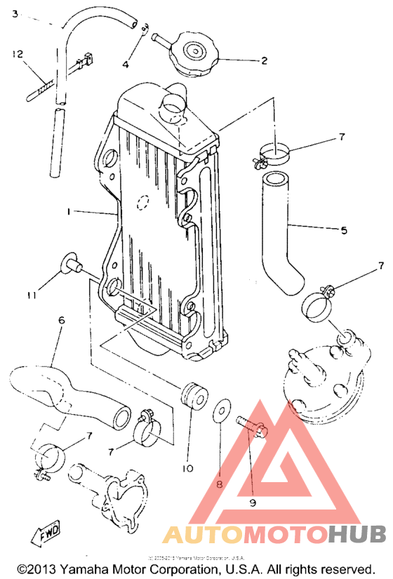 Radiator - hose