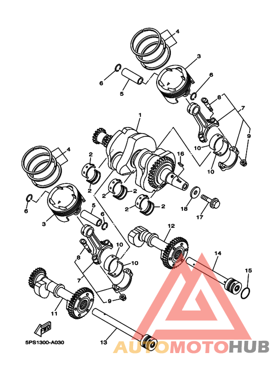 Коленчатый вал и Поршень