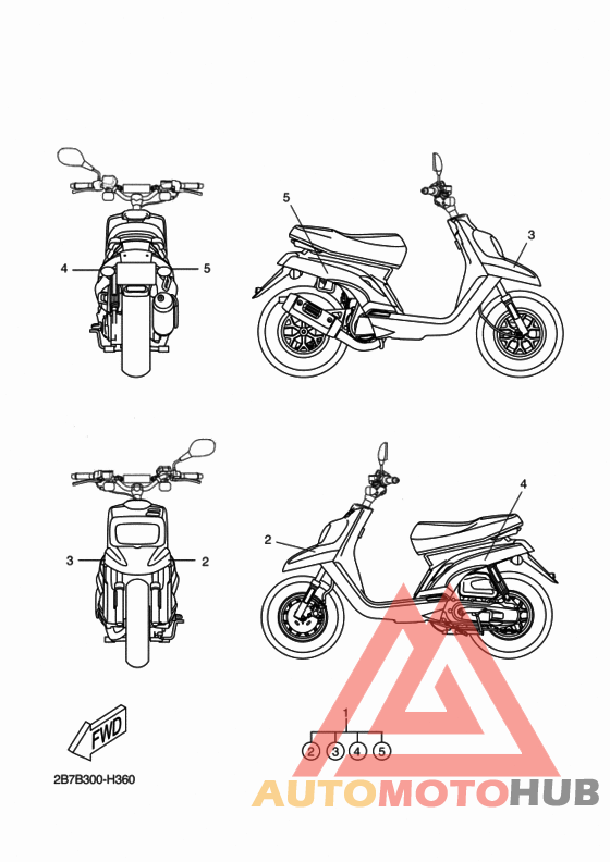 Graphic & emblem