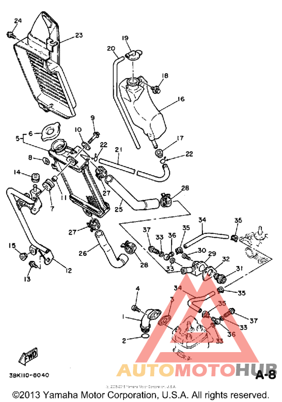 Radiator - hose