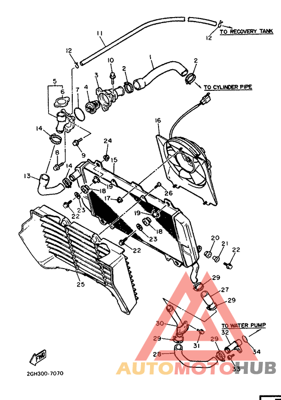 Radiator. hose