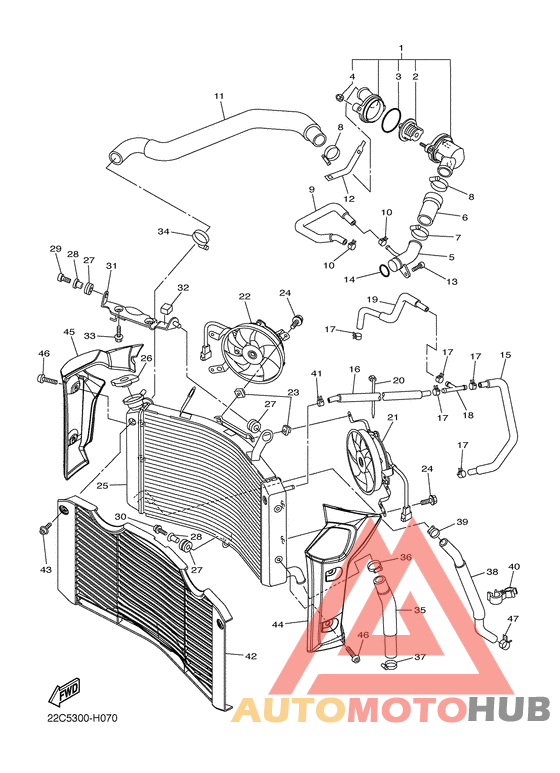 Radiator & hose