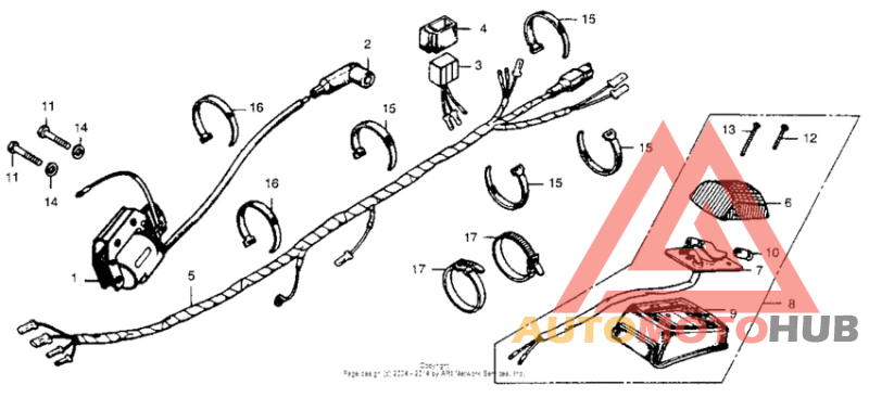 Wire harness + taillight